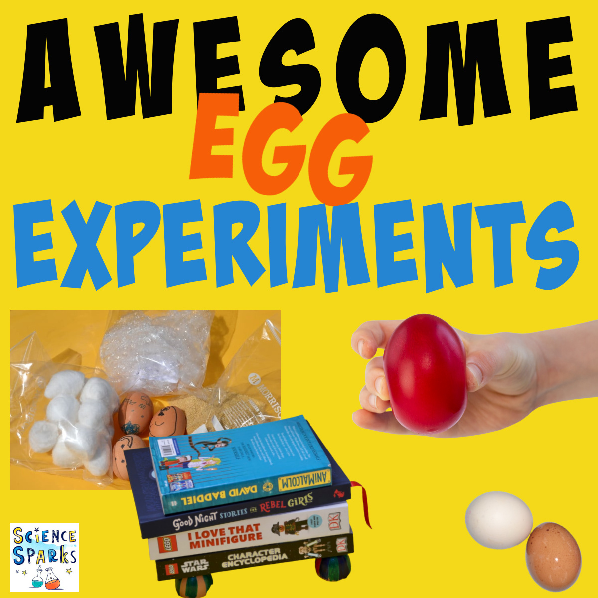 Awesome Egg Experiments for Kids Science Experiments for Kids