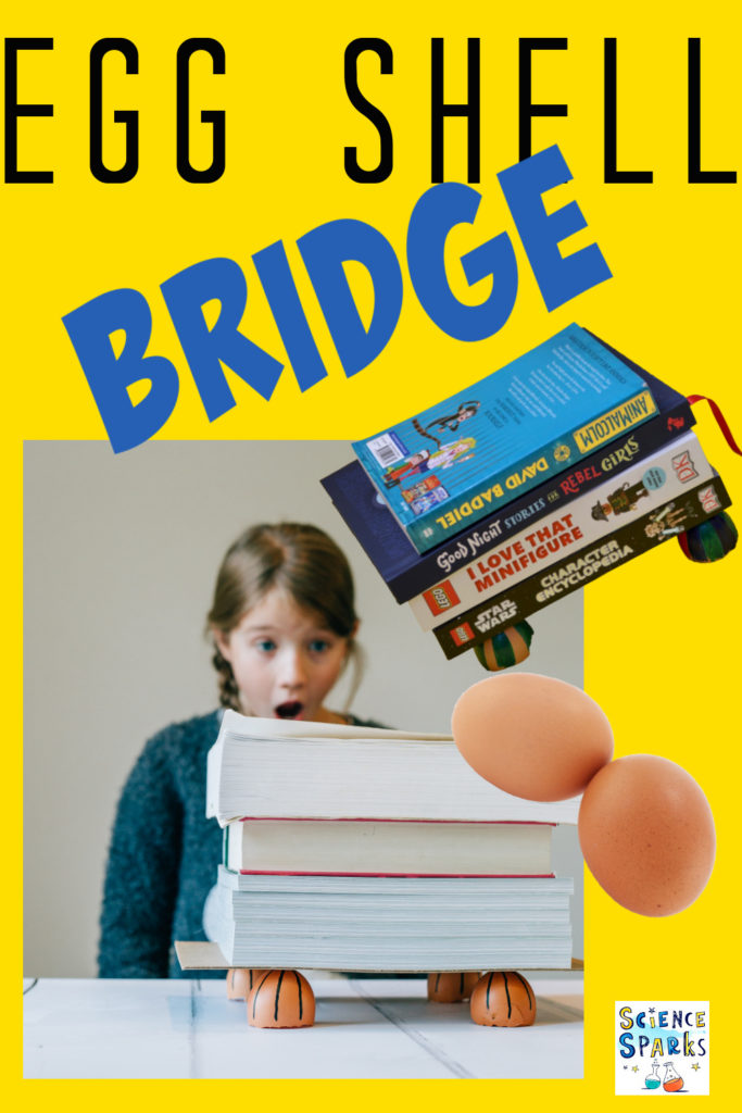 Image of a bridge made from half egg shells to demonstrate how domes are a strong shape.