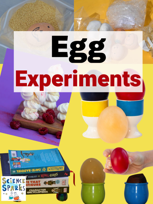 Egg Experiments