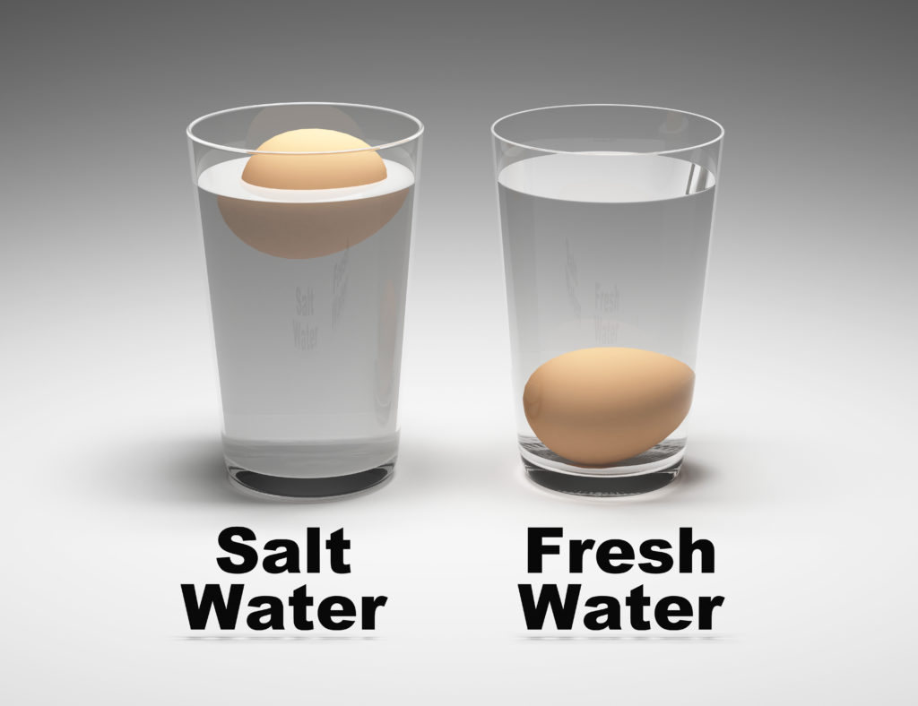 Image shows one glass filled with salt water with an egg floating on the surface and one glass filled with fresh water with the egg at the bottom.