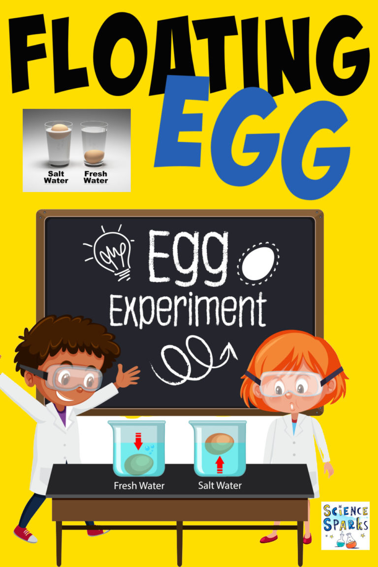 How to Make an Egg Float Kitchen Science for Kids