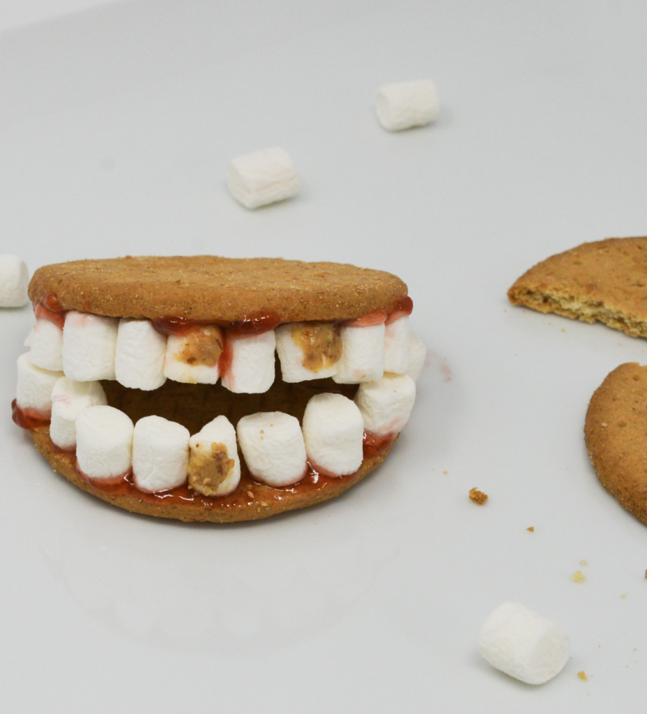 dirty tooth model made with digestive biscuits, jam and peanut butter