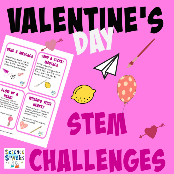 STEM Challenges - Science Experiments for Kids