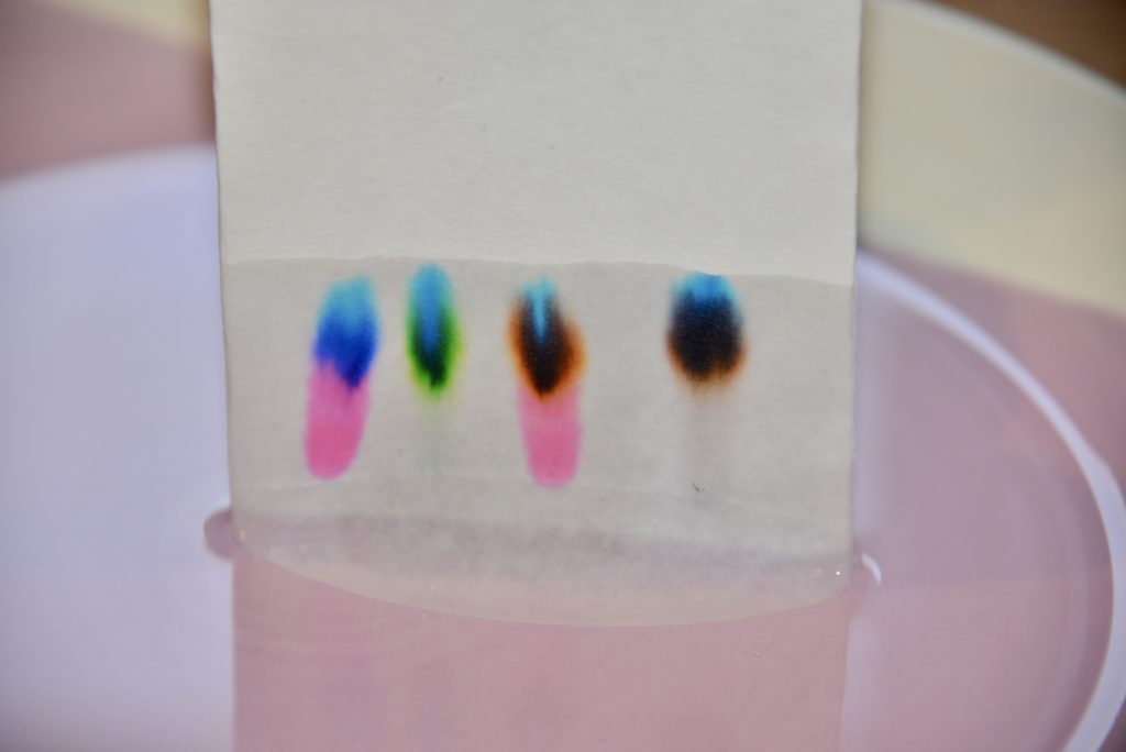 image of chromatography on filter paper
