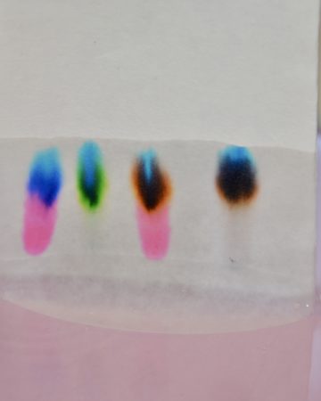 image of chromatography on filter paper