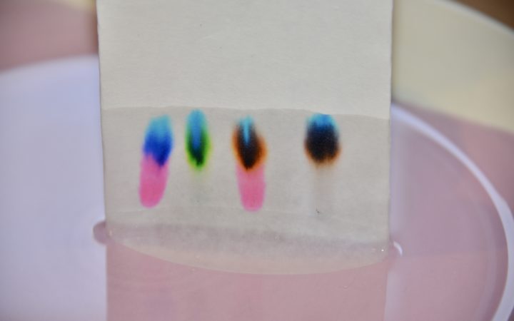 image of chromatography on filter paper
