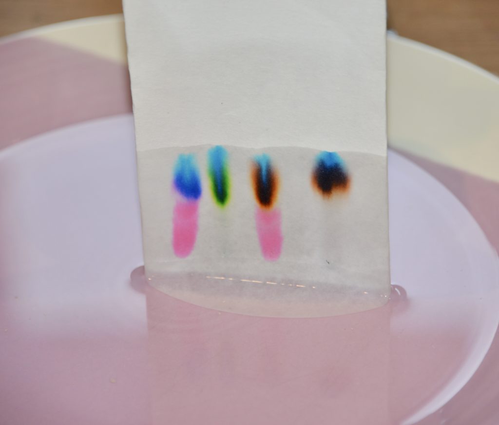 paper chromatography results