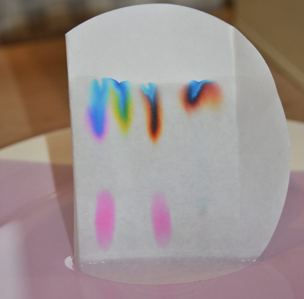 final results of a paper chromatography experiment using filter paper and felt tip pens