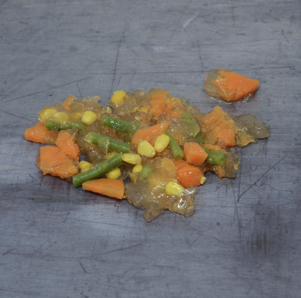 Fake vomit, made from crushed vegetables and gelatain for a gross science activity.