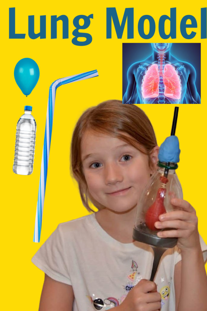 Girl holding a model lung made from a plastic bottle and balloon