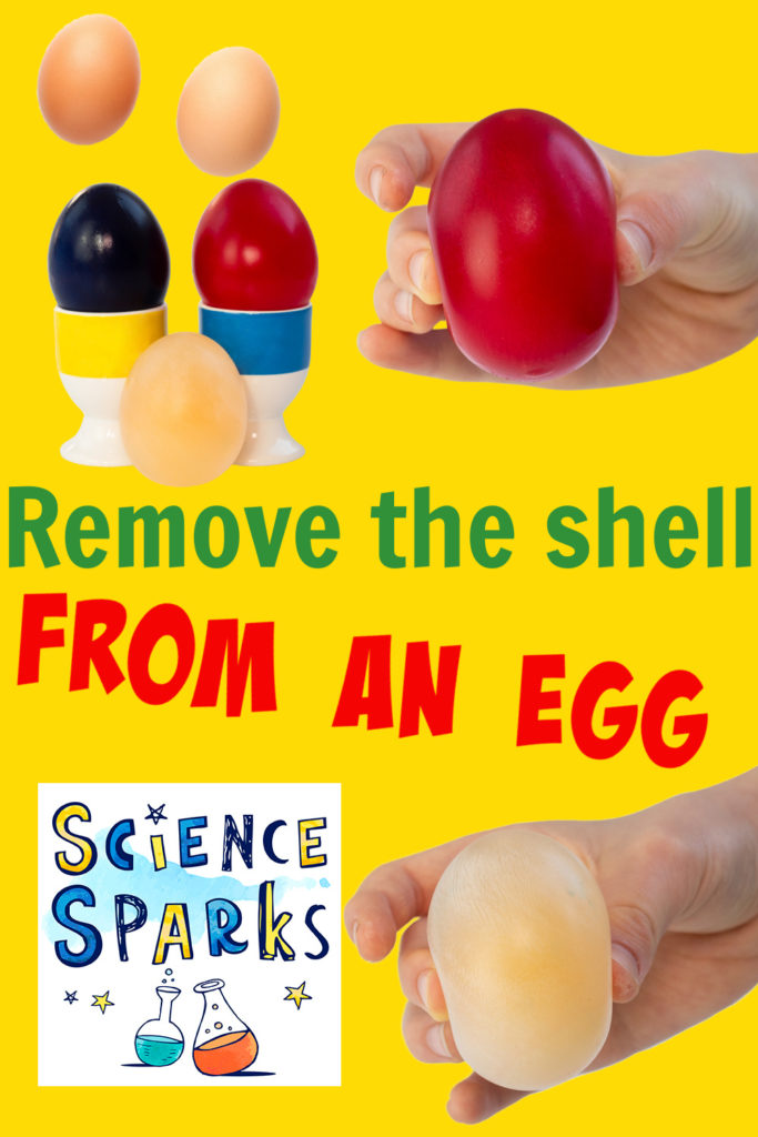 collage of eggs with