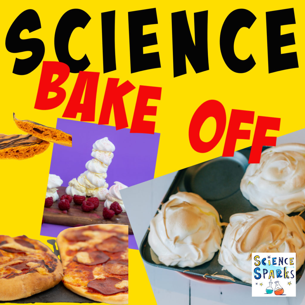 Image of baked alaska, pizza and meringue towers to a science based bake off!