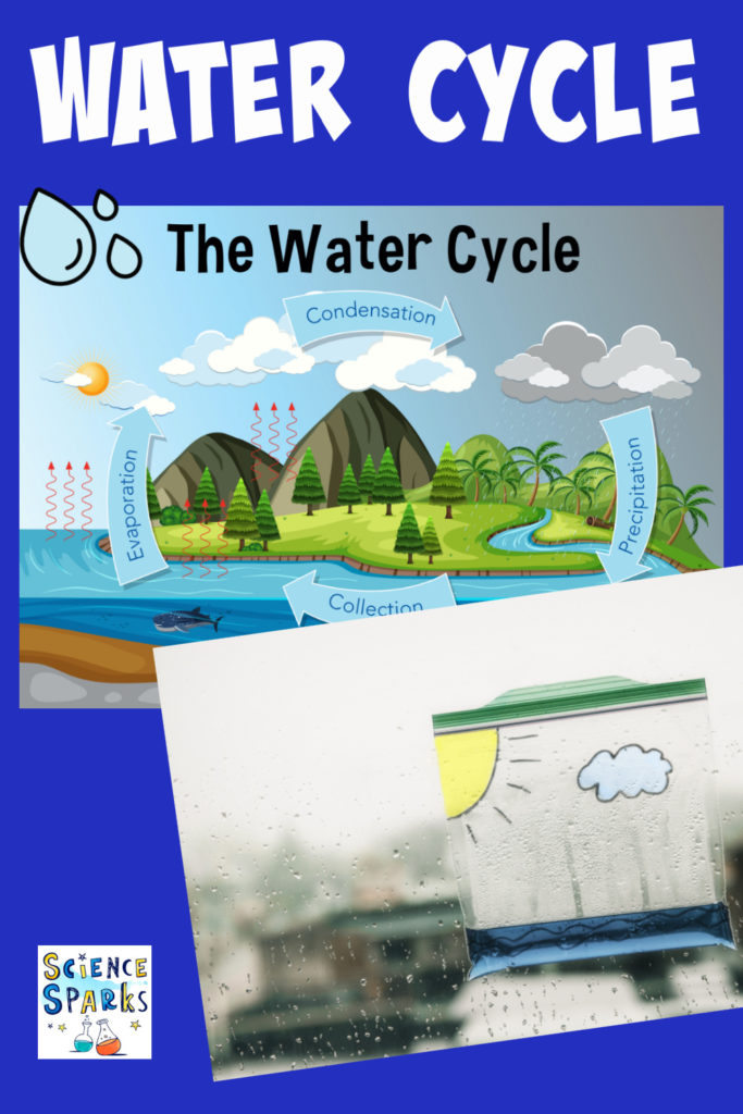 Image of the water cycle and a demonstration using a sealable bag