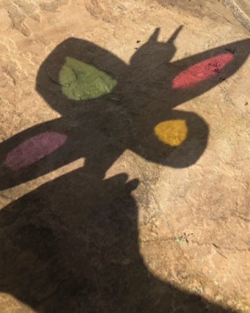 colourful butterfly shadow puppet