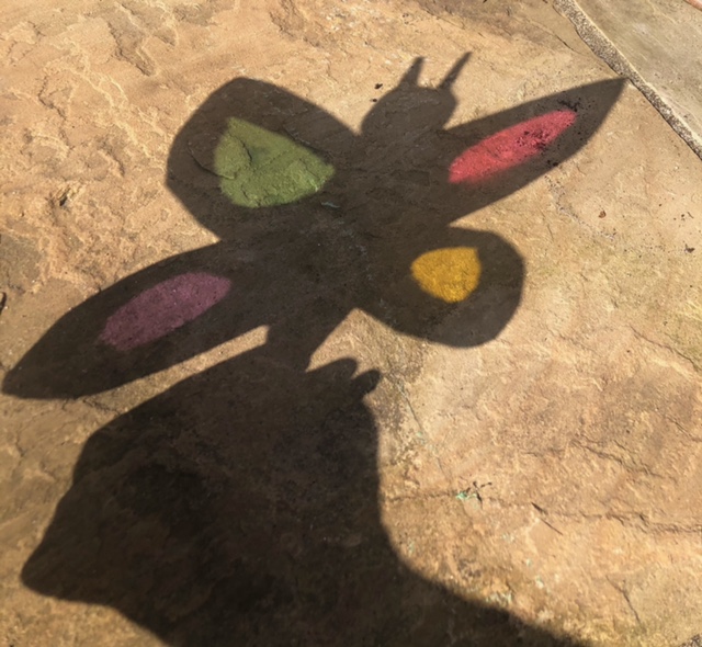 colourful butterfly shadow puppet