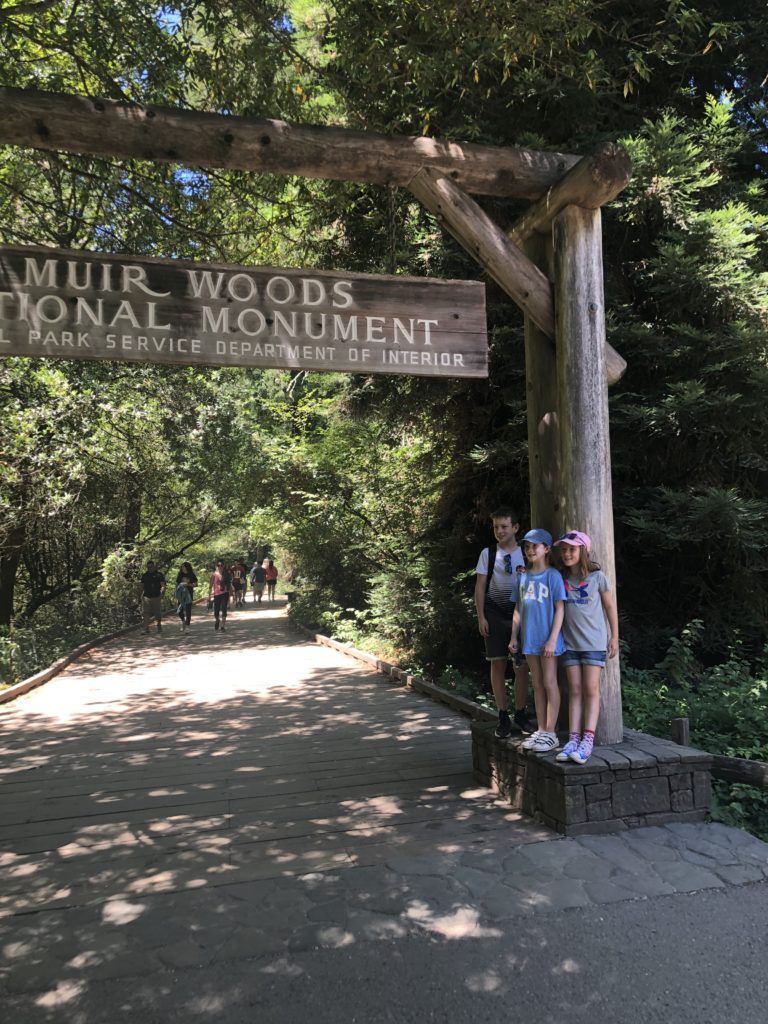 Muir Woods