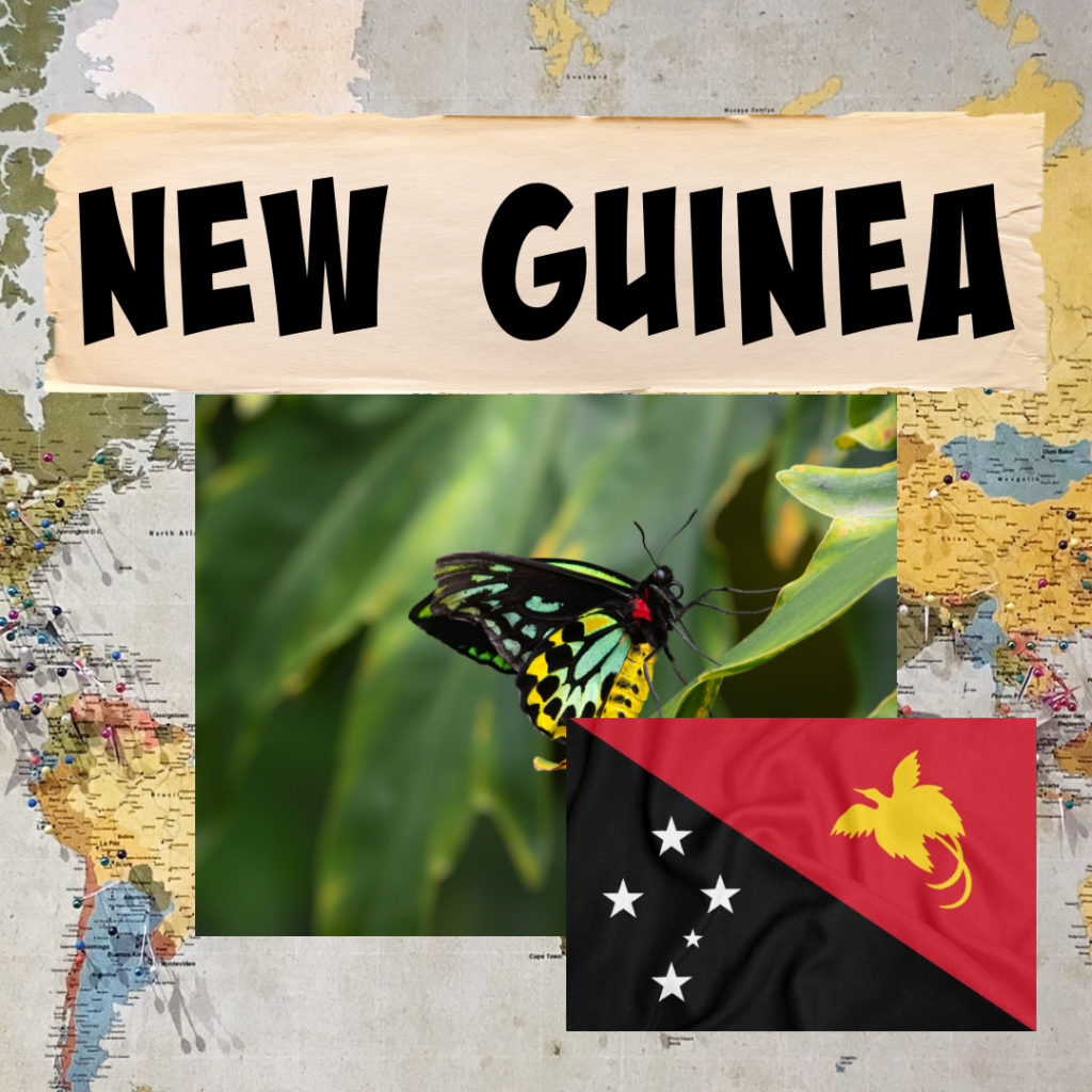 Image of Queen Alexandra's Birdsong butterfly from New Guinea and the New Guinea flag