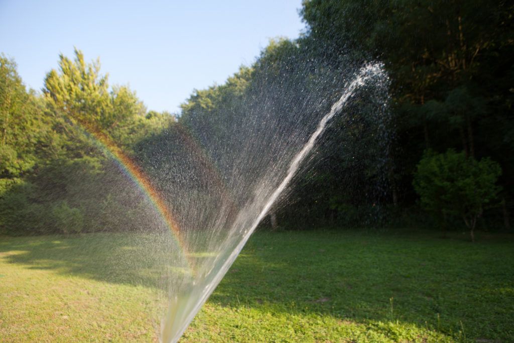using a hosepipe on a sunny day to make a rainbow