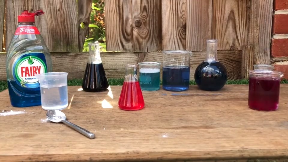 Red Cabbage Indicator Ph Scale