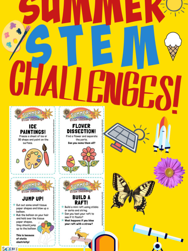 Summer Science Challenges