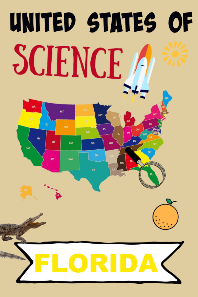 Image of Florida on a map of the united States and a rocket and orange