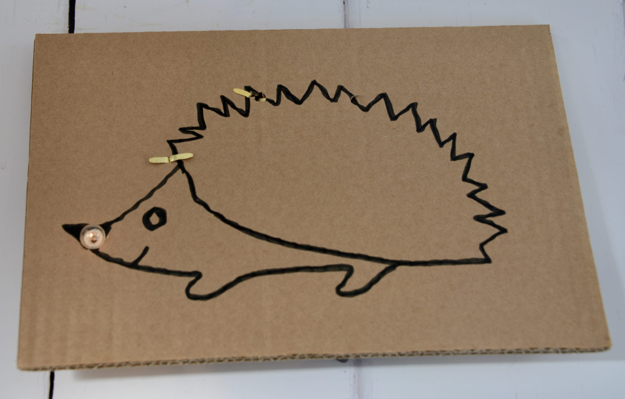 Image a of a hedgehog drawn on a sheet of cardboard for a fun cardboard STEM Challenge