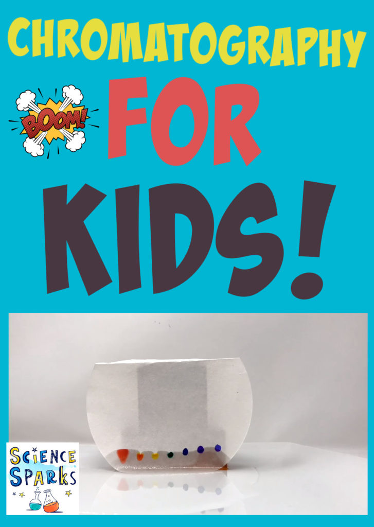 Paper Chromatography Experiment Science Experiments for Kids