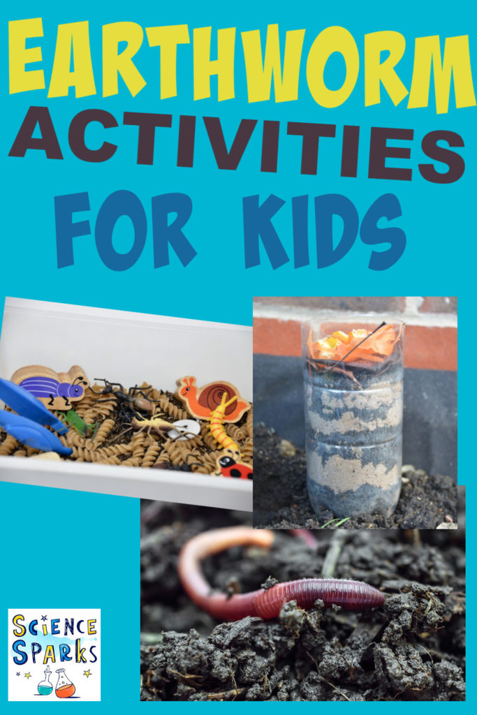 Images of earthworm activities for kids including a wormery.