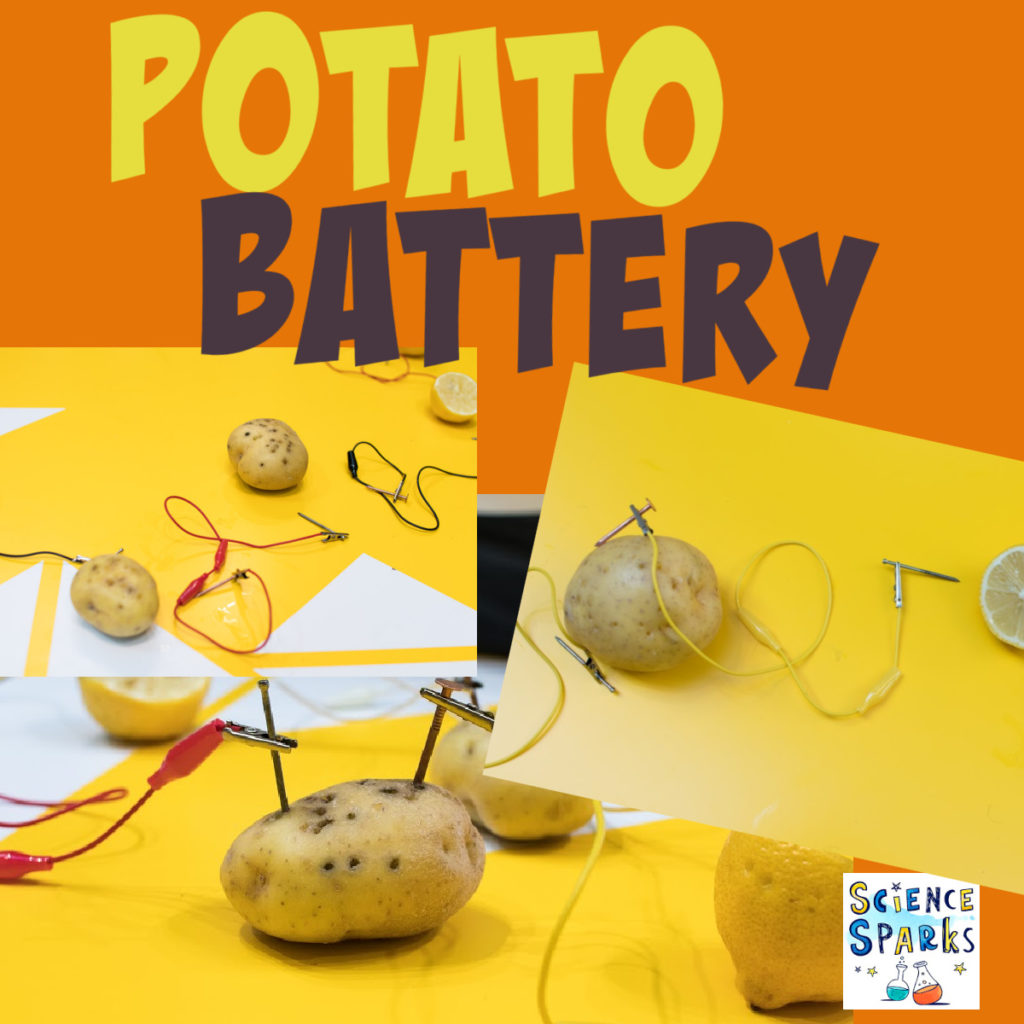 Potato Battery image of potatoes, crocodile clips and wires