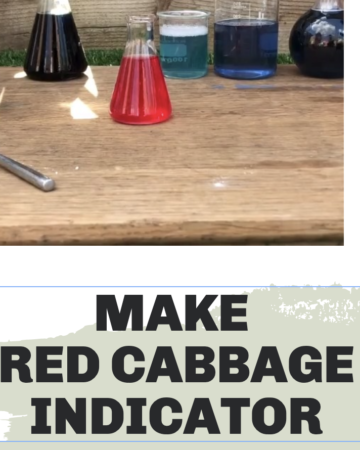 Red Cabbage pH indicator