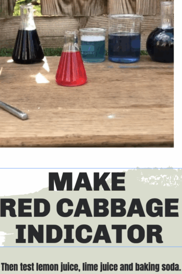 Red Cabbage pH indicator