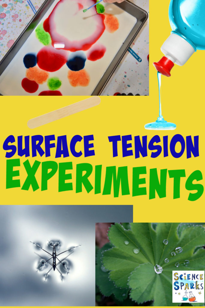 Collage of images related to surface tension. Pond skater, raindrop and magic milk investigation