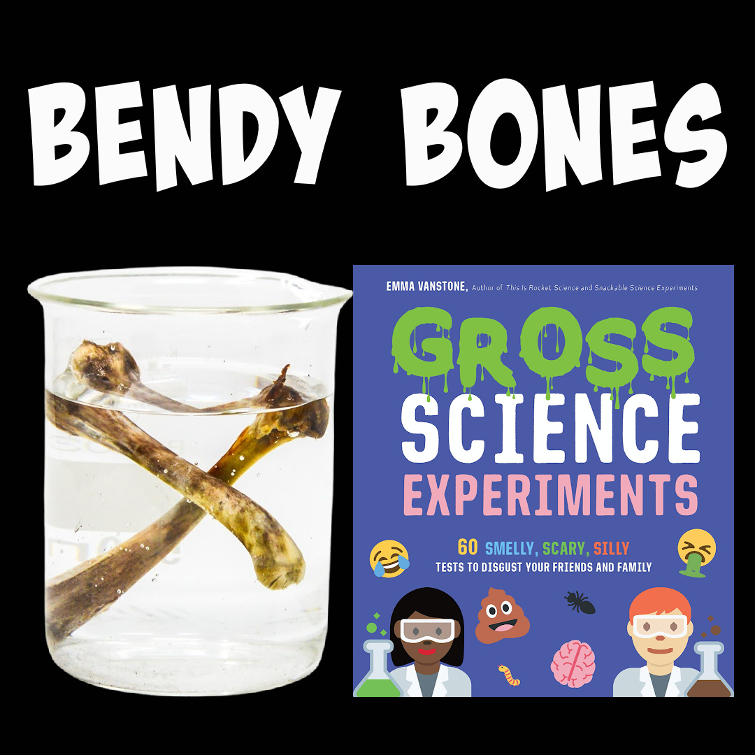 Image of bones made bendy by placing in vinegar and Gross Science book