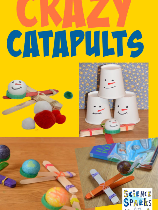 Make a Popsicle Stick Catapult