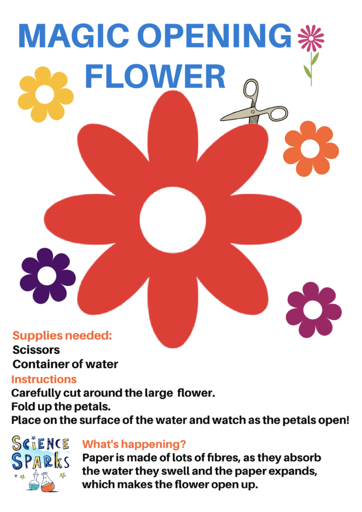 Image of a template for an opening flower experiment