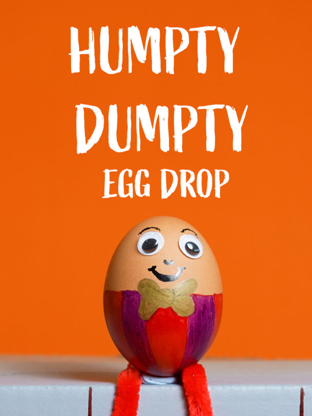Humpty Dumpty Egg Drop Investigation