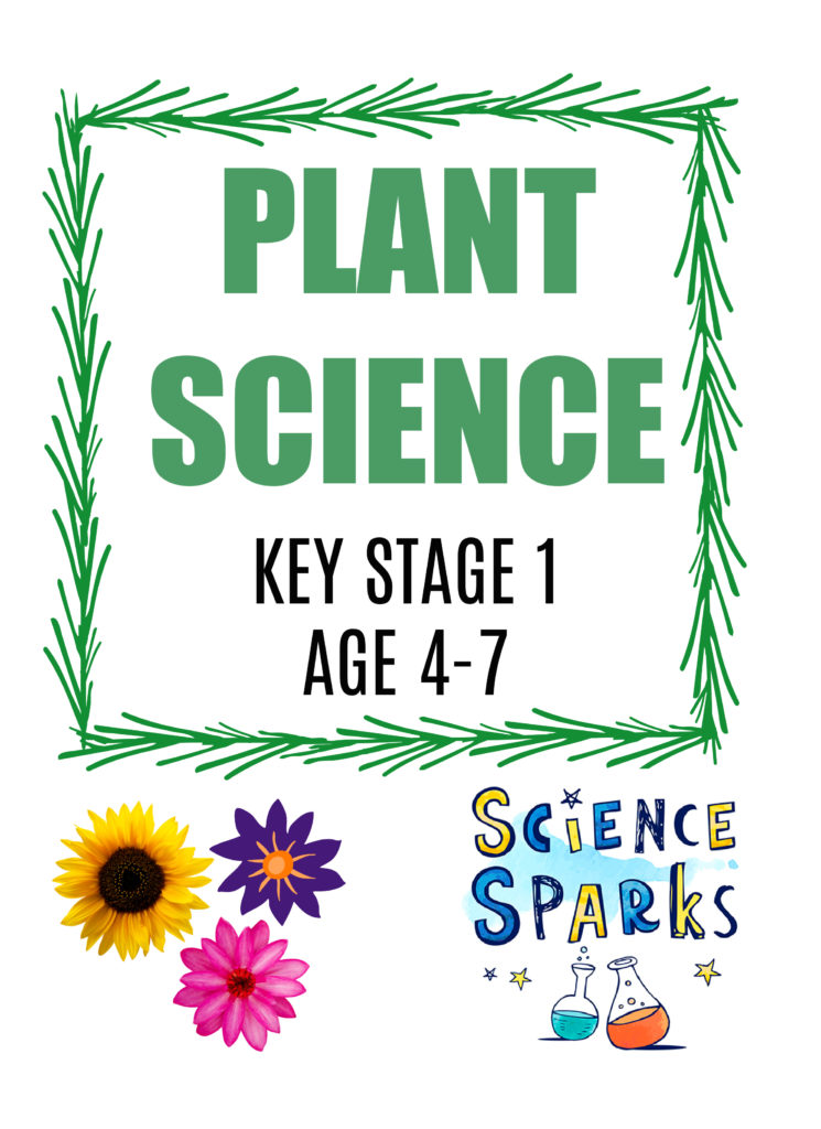 Plant science for Key Stage 1 booklet