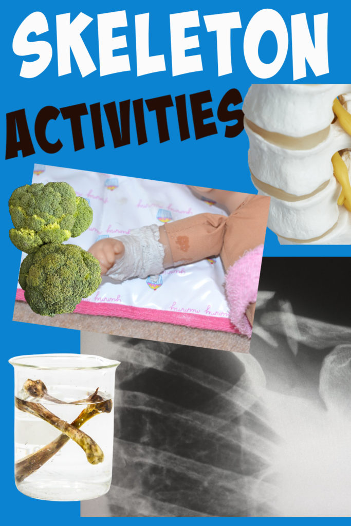 Collage of easy skeleton activities for kids. Plaster cats on dolls, bendy bones and spine models.