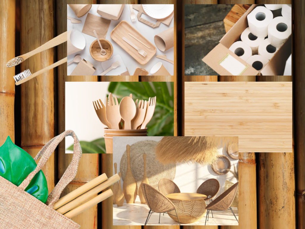 Uses of bamboo - toothbrush, utensils, furniture