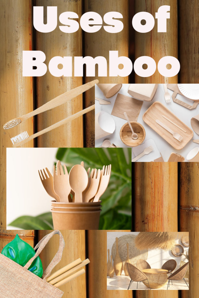 Uses of bamboo
