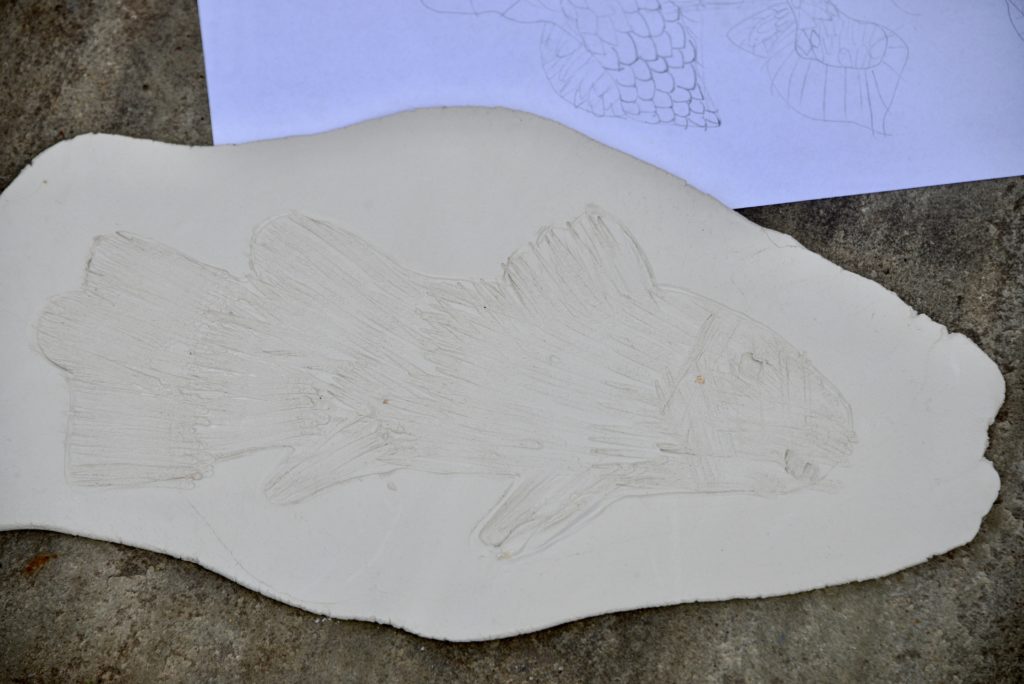 Clay model of a coelacanth fish fossil