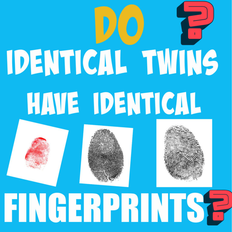 Do identical twins have identical fingerprints 