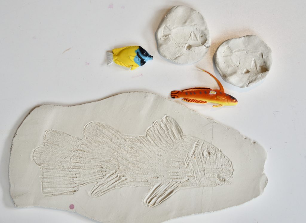 Fish fossils made from clay