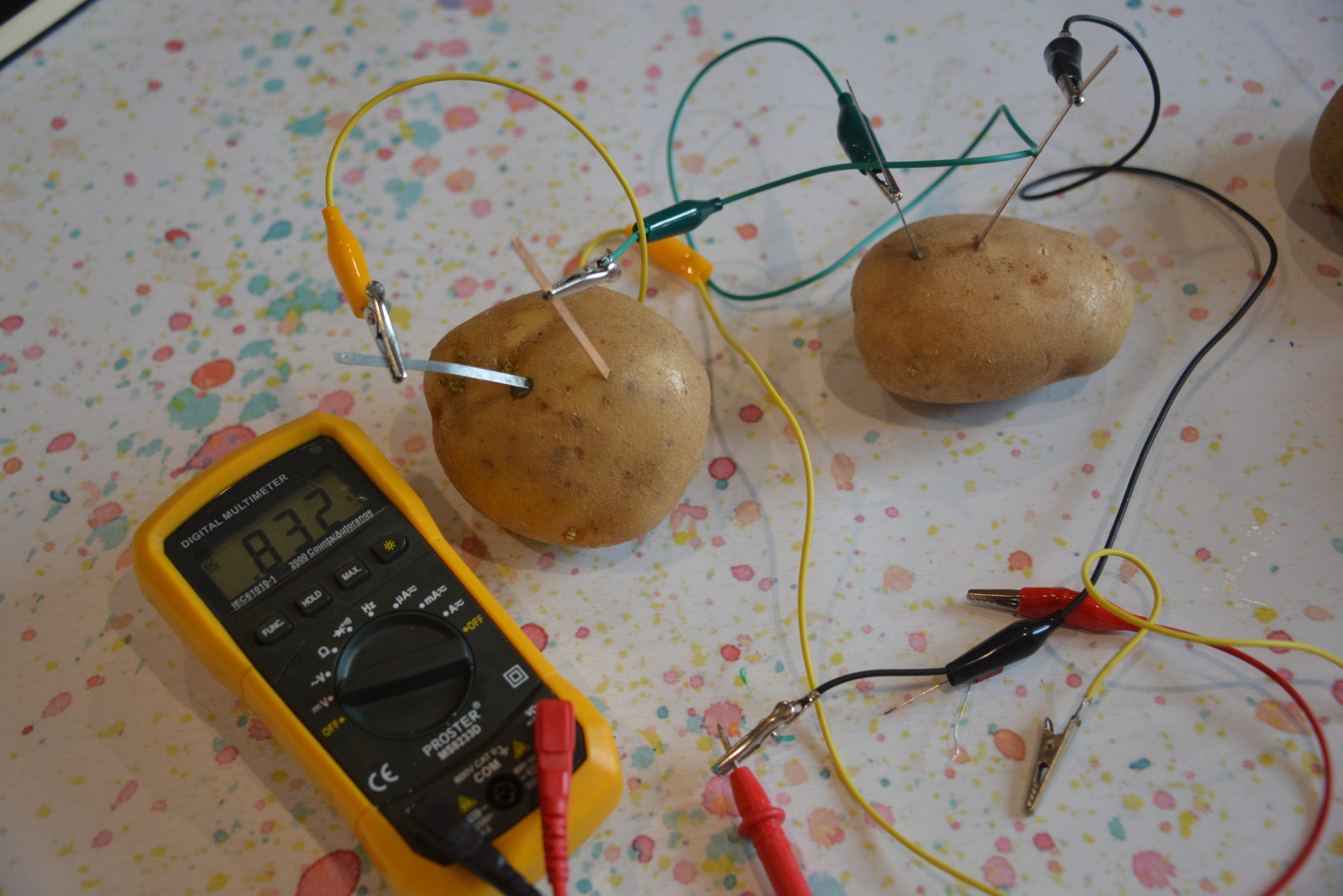2 potatoes and a voltmeter showing the current passing through the potato battery circuit