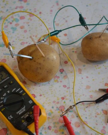 2 potatoes and a voltmeter showing the current passing through