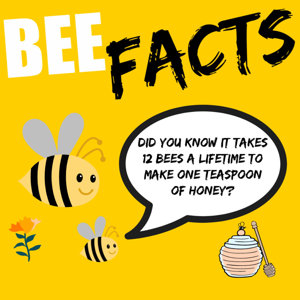 Fun cartoon showing a bee telling another bee a fact!