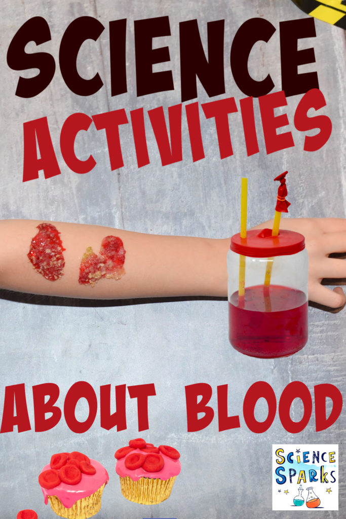 Collage of blood and heart themed science activities for kids. Make red blood cell cupcakes, a pumping heart model, jelly scabs and more!