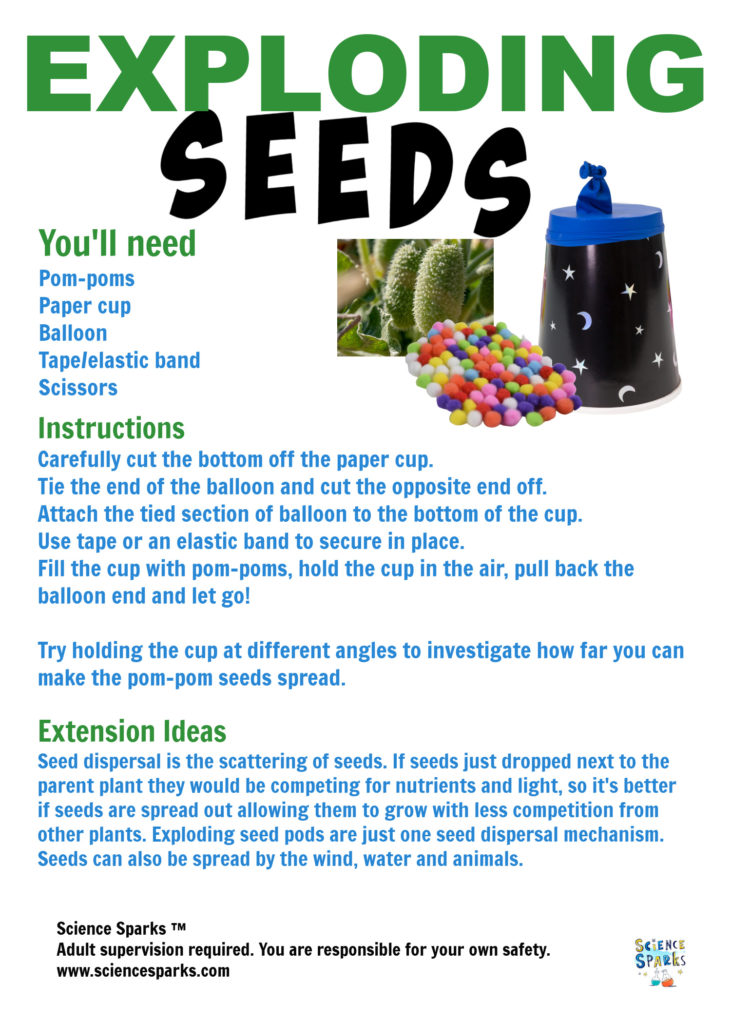 Exploding seed dispersal device instructions