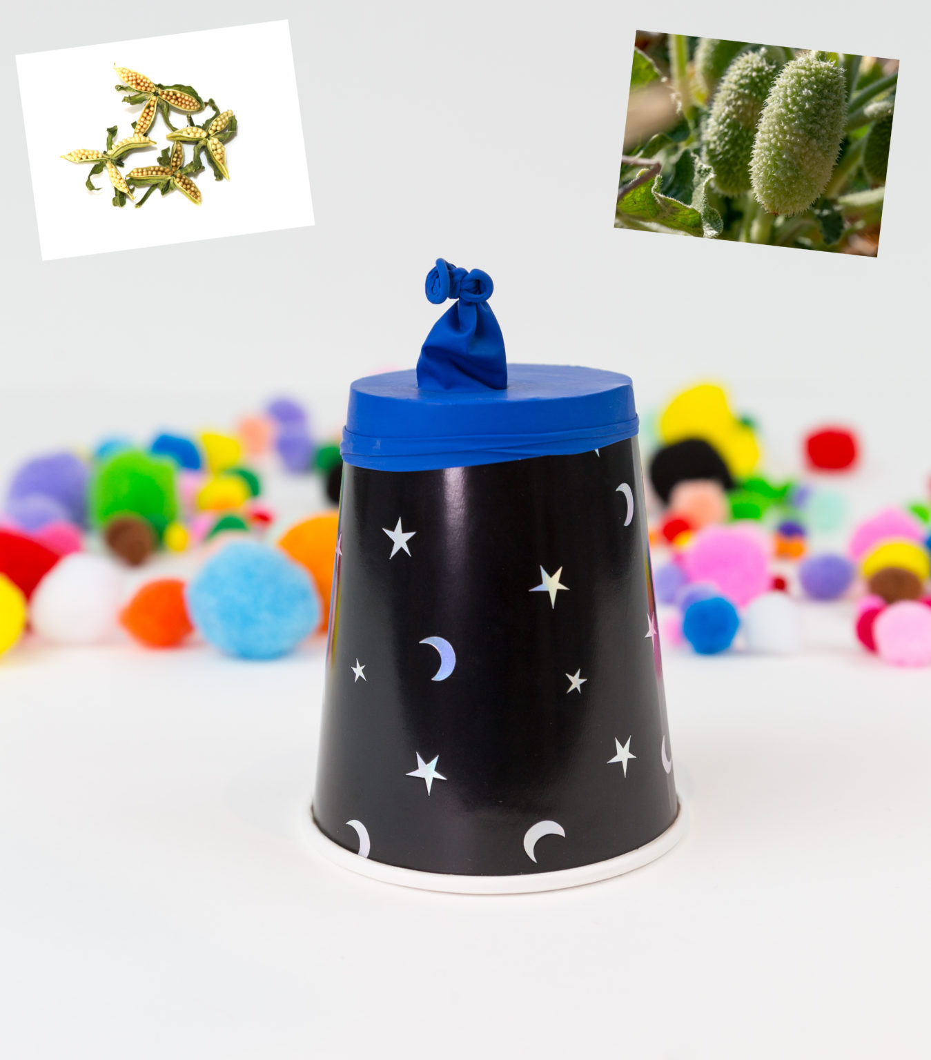 Exploding Seeds - Create a seed explosion device