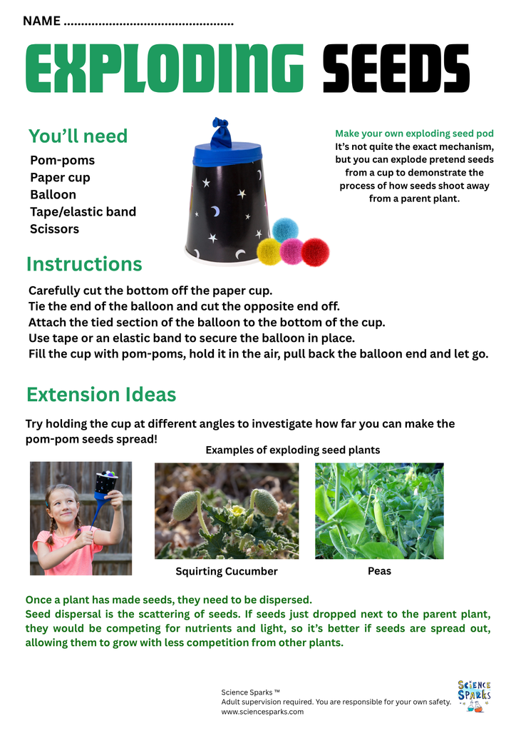 Exploding seed device Investigation sheet